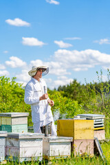 Beekeeping natural summer wooden honeycombs. Outdoor harvesting beeswax. Concept of beekeeping and small farming