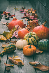 Colorful pumpkins with fallen leaves on a wooden veranda, vertical stock photo.