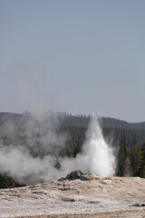 geyser