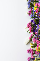 Fototapeta premium On a light background with a place for writing the text, multicolored limonium flowers.
