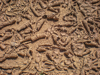 Curled Up Dirt and Dried Cracked Earth After Rain