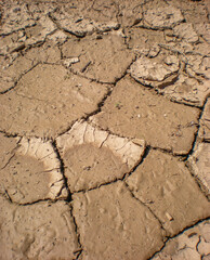 Cracked Clay and Dried Mud After Rain