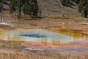 grand prismatic spring