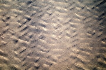 Abstract drawing on bronze sea sand