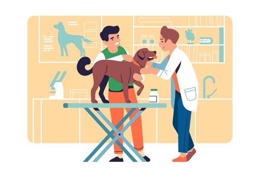 Veterinarian examining pet. Doctor treats dog. Animal helping service. Owner with puppy in clinic. Specialist checking up four legged friend health on vet table. Vector veterinary concept
