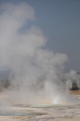 geyser in park national park