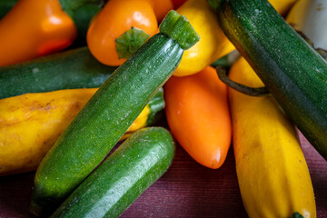 une petite courgette verte en gros plan au milieu de petits légumes du potager