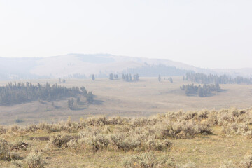 Fototapeta premium fog in the mountains