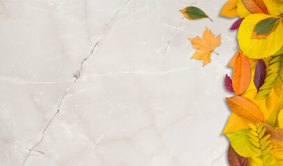 Autumn mood background. Frame made of autumn dried leaves on the desk