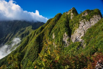 荒沢岳を見上げる