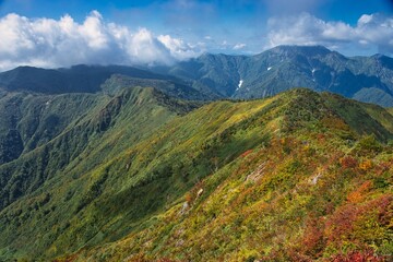 Naklejka premium 秋の荒沢岳の稜線