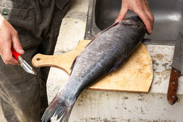 A fisherman cleans a silver carp fish on the street. Preparing a trophy for food