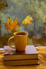 cup of tea, book, autumn leaves and candle on window sill at home