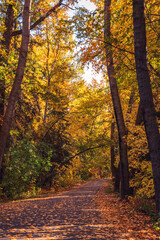 Edmonton River Valley Pathway North Saskatchewan River