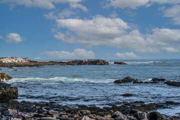 view  of the new hampshire coastline