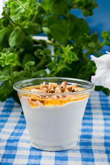 Greek Yoghurt with Honey and Walnuts in a Bowl, Healthy Breakfast