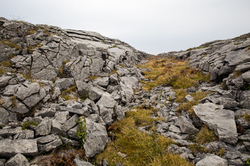 Field of Rock and Moss in Ireland