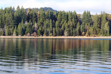 Panorama of shore of Isla Victoria covered with pine trees,  and blue lake in tranquility.
