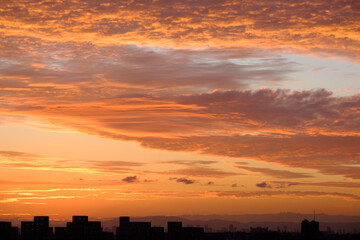都市の夜明け、早朝ビルの隙間から太陽が昇り辺りはオレンジ色に染まる。ビルはシルエットに浮かぶ。