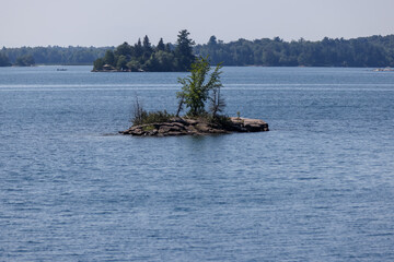 Naklejka premium Landscape scenery in the Thousand Islands along the St Lawrence River
