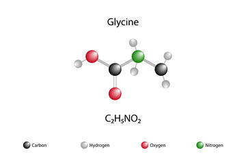 Molecular formula of glycine. Glycine is an apolar amino acid.