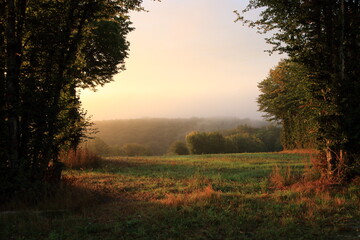 Early morning landscape in the countryside.