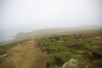 Fototapeta na wymiar Coast of skomer island off the Pembrokeshire coast in the fog