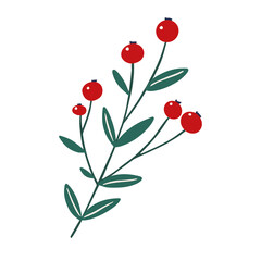 Winter berry floral design element. Festive Christmas clip art. Holly berry branch in simple hand drawn style isolated on white background. Vector illustration.
