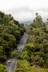 Carros en carretera larga con arboles a los lados