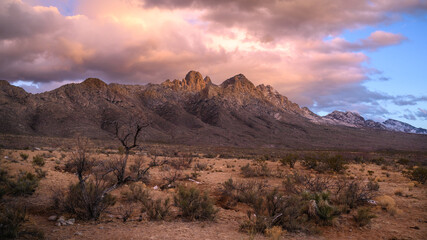 Looking east over the Organ Mountains