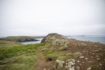 Coast of skomer island off the Pembrokeshire coast
