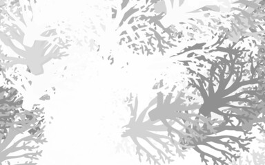 Light Gray vector doodle texture with leaves, branches.