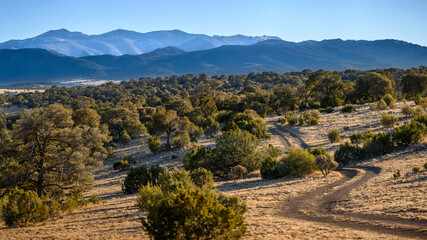 The road less traveled