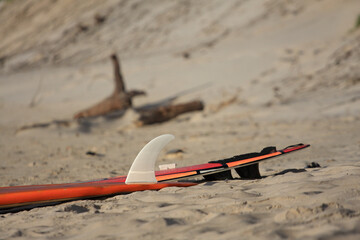 surfboards with fins lying on the beach