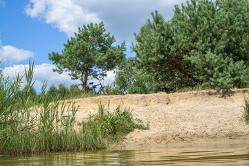 The bike stands on a sandy beach of a forest lake under a separate pine tree against a blue sky.