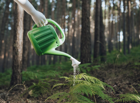 Robot watering plants in forest