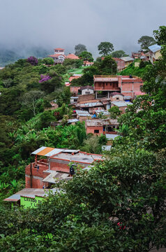 View of houses in Coroico hills between the trees. Yungas region of Bolivia, Southamerica. Valley landscape
