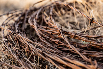 Reel of Rusty Old Barbed Wire
