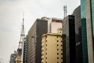Fototapeta na wymiar Avenida Paulista - São Paulo
