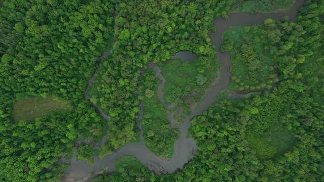 River delta river meander inland dron aerial video shot in floodplain forest and lowlands wetland swamp, quadcopter view flying fly flight show, protected landscape area of Litovelske Pomoravi