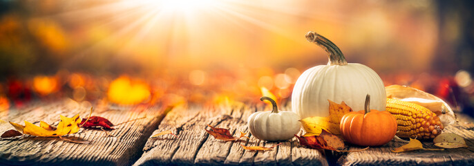  Mini Pumpkins, Corn And Leaves On Wooden Harvest Table With Sunlight - Thanksgiving / Harvest...