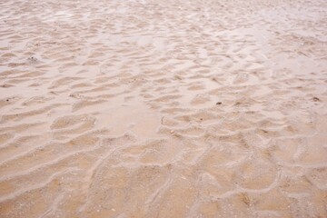 sand near the sea texture