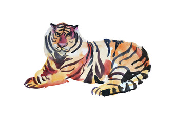 Fototapeta na wymiar Watercolor hand-drawn abstract tiger wild cat lies resting isolated on white background. Chinese symbol new year. Orange animal with black stripes. Creative clipart for christmas, celebration