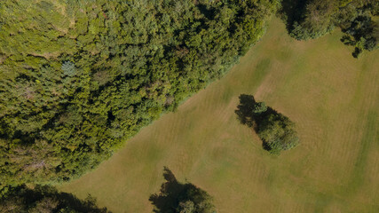 Aerial photo of a field with a treeline or forest area. Lot's of green grass, shrubs and trees....