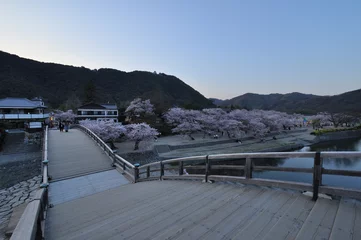 Foto auf Acrylglas Kintai-Brücke 春の錦帯橋（桜祭り）