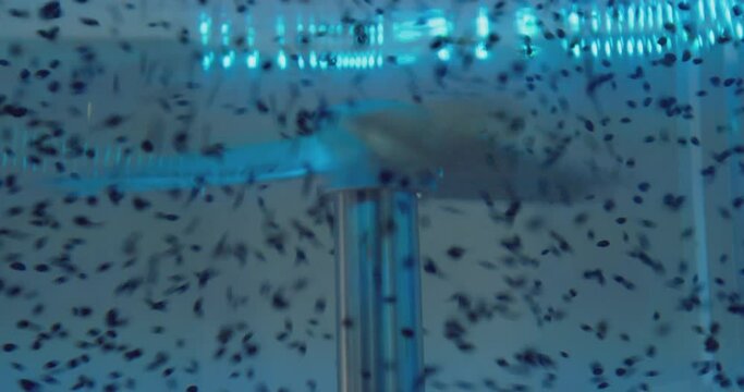 technology background. screw rotates in clear water stirring small particles.close-up.