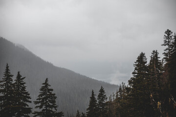 fog in the mountains