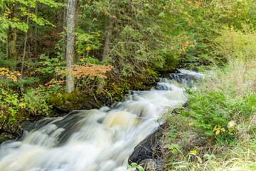 Stream in the Forest with Fall Colours Starting to Show