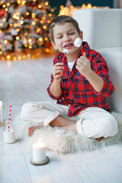 Child at Christmas. Happy child boy in a holiday. High quality photo