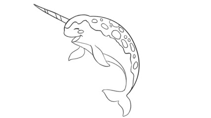 Narwhal Animal line drawing coloring templates for art class